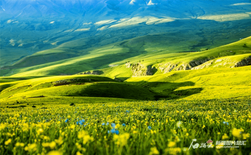 【出行】新疆又一条"网红公路"完工!_伊宁县