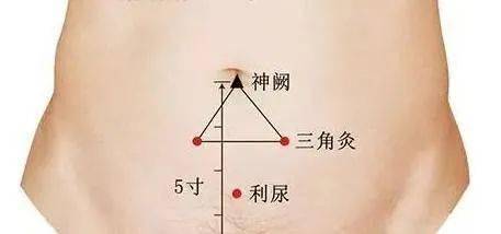 立冬后,这份养生攻略送给你,冬天补得好,百病不来扰!