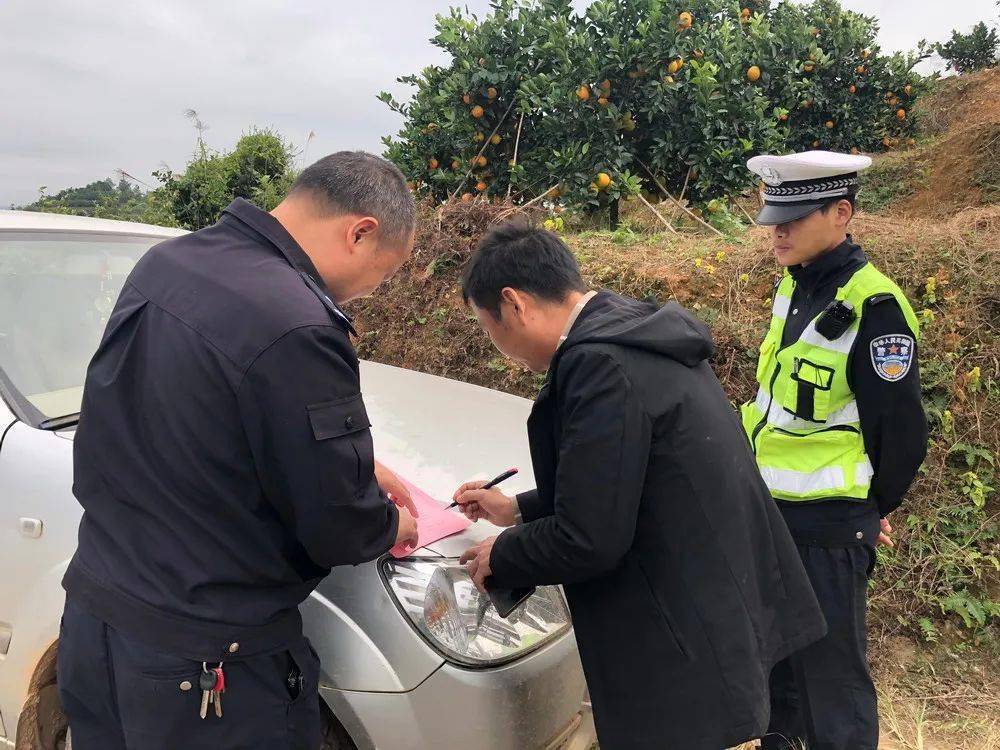 赣州有人开车偷脐橙盗窃嫌疑人被依法处理
