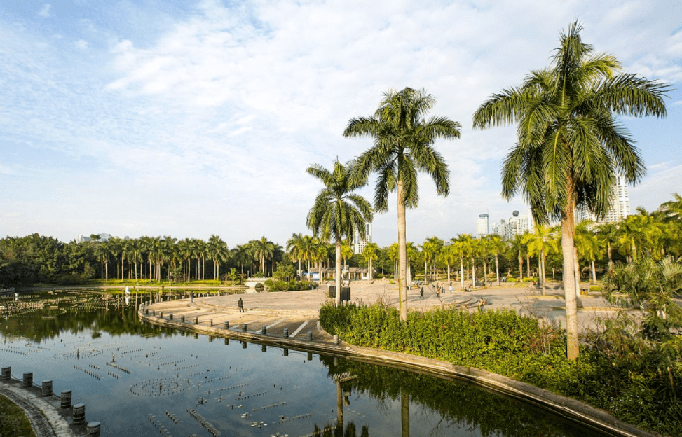 南湖公園,娛樂休閒的好去處!在這裡,你可以湖中泛舟,沿湖散步~_中草藥