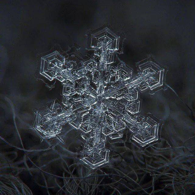 雪花神奇！他用显微镜100倍拍摄雪花，引上万人围观：好美~