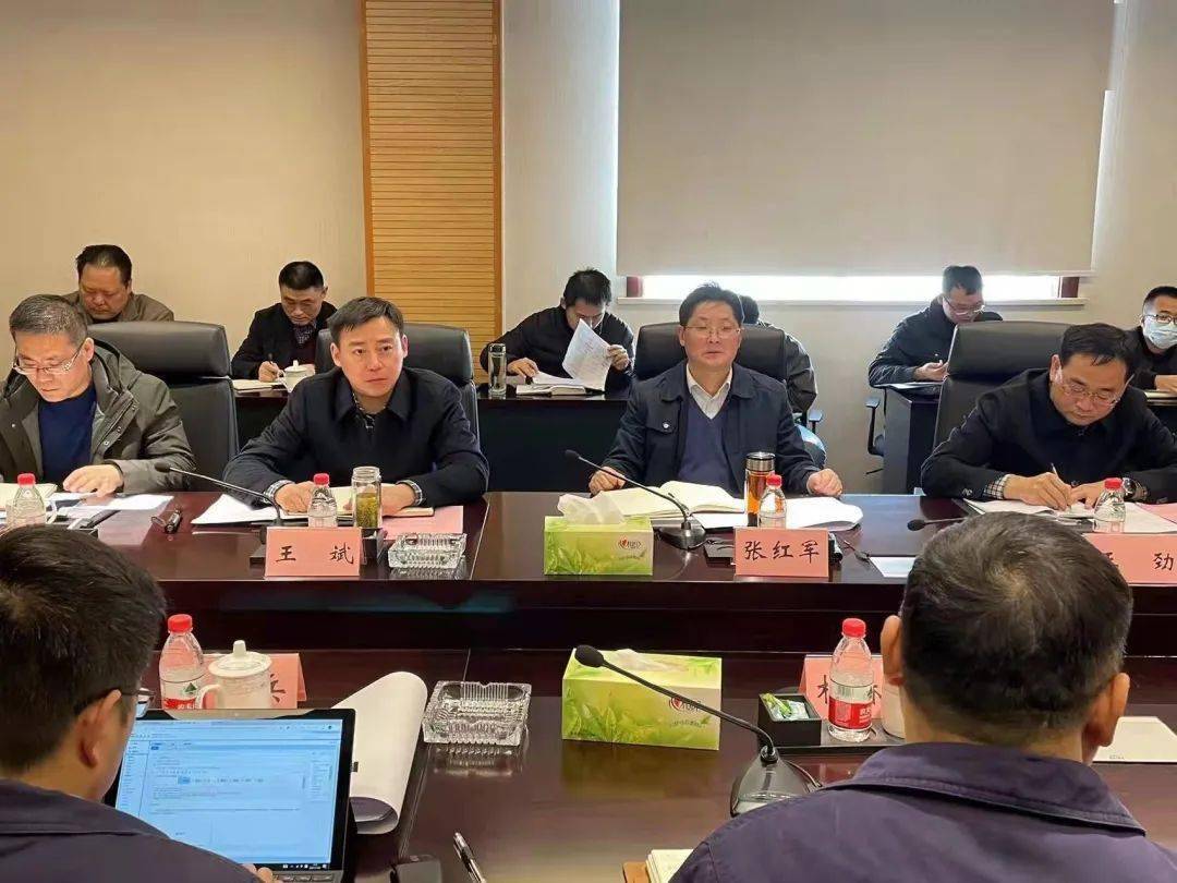 市委副书记王劲,市政府常务副市长王斌,巢湖云海镁业有限公司总经理