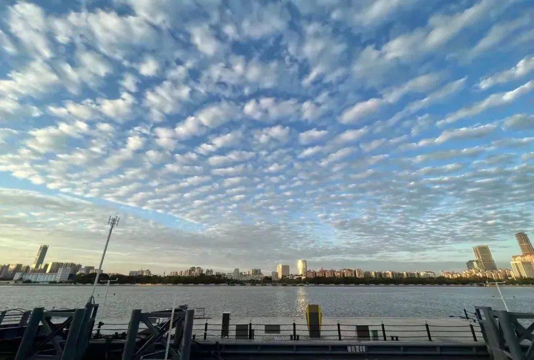 广州现绝美鱼鳞云,美到犯规!治愈你一切坏心情!