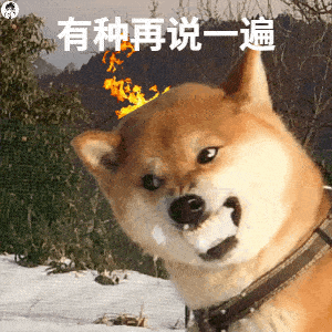 抖音热门表情包