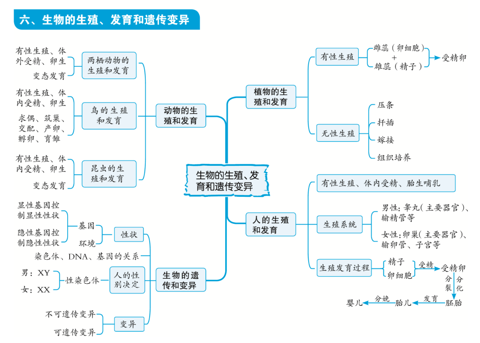 初中生物知識點思維導圖大全重難點知識一目瞭然