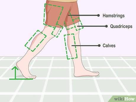 正确的走路姿势能用到你腿部的绝大部分肌肉.
