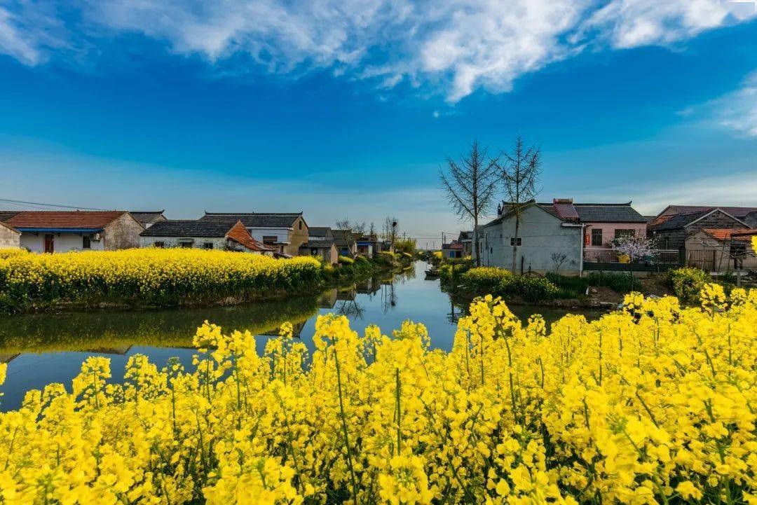 霞浦|中国唯一没有山的城市！拥有江苏唯一世界自然遗产，不输霞浦，却被忽略千年