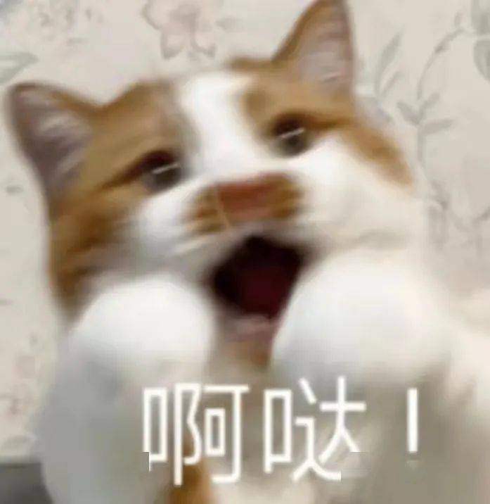 老婆|【聊天室】麻醉没清醒时的迷惑行为，好家伙这是麻倒了还是喝多了？