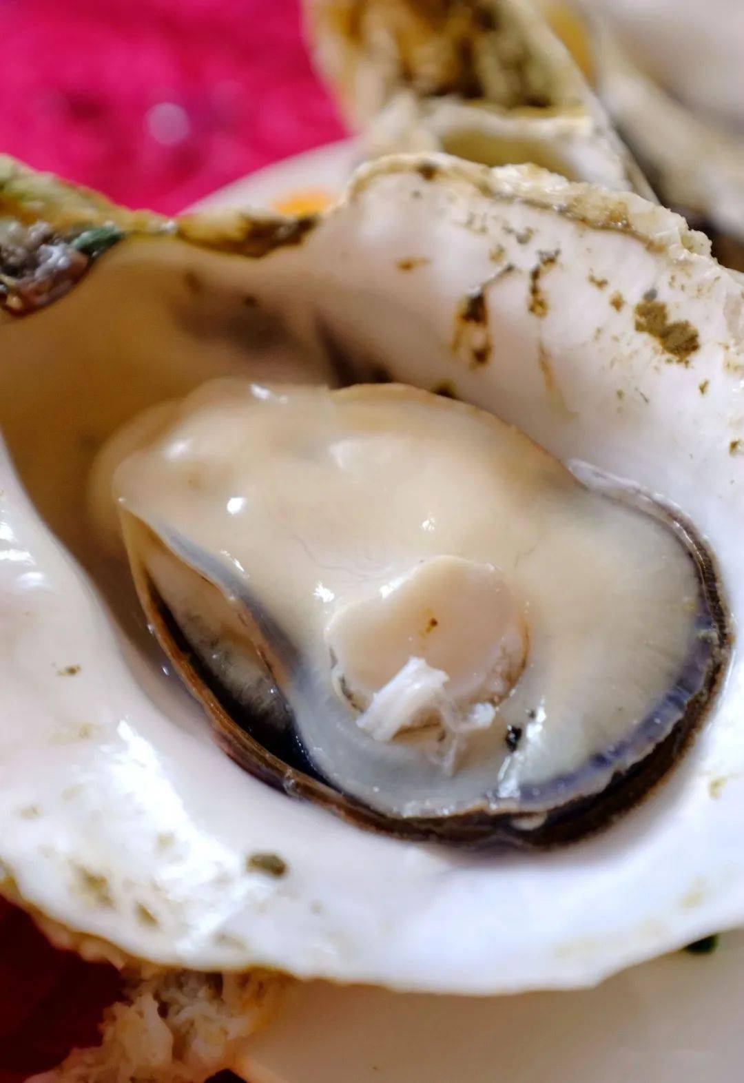 蒜蓉生蚝,经典味道,蚝肉连着闭壳肌,攒起壳里的汁水,实足一碗蚝汤