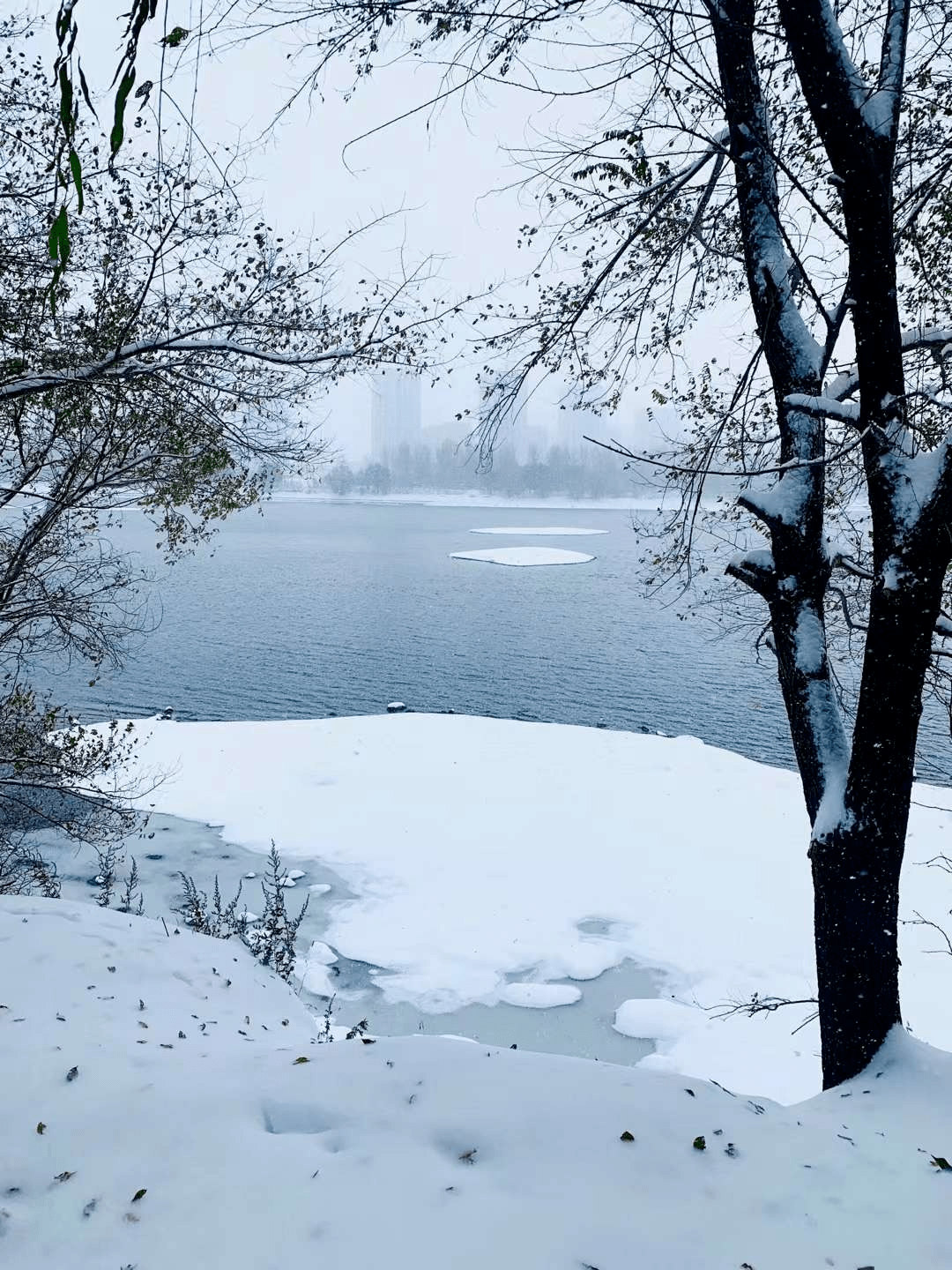快来围观网友爆笑晒图,一场雪下出了沈阳人的浪漫!