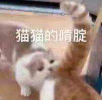 老婆|【聊天室】麻醉没清醒时的迷惑行为，好家伙这是麻倒了还是喝多了？