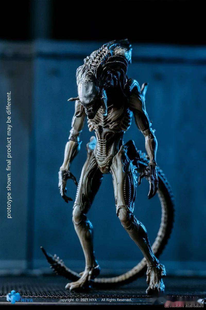 美系hiyatoys新品118异形大战铁血战士2铁血异形可动人偶
