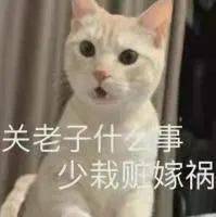 老婆|【聊天室】麻醉没清醒时的迷惑行为，好家伙这是麻倒了还是喝多了？