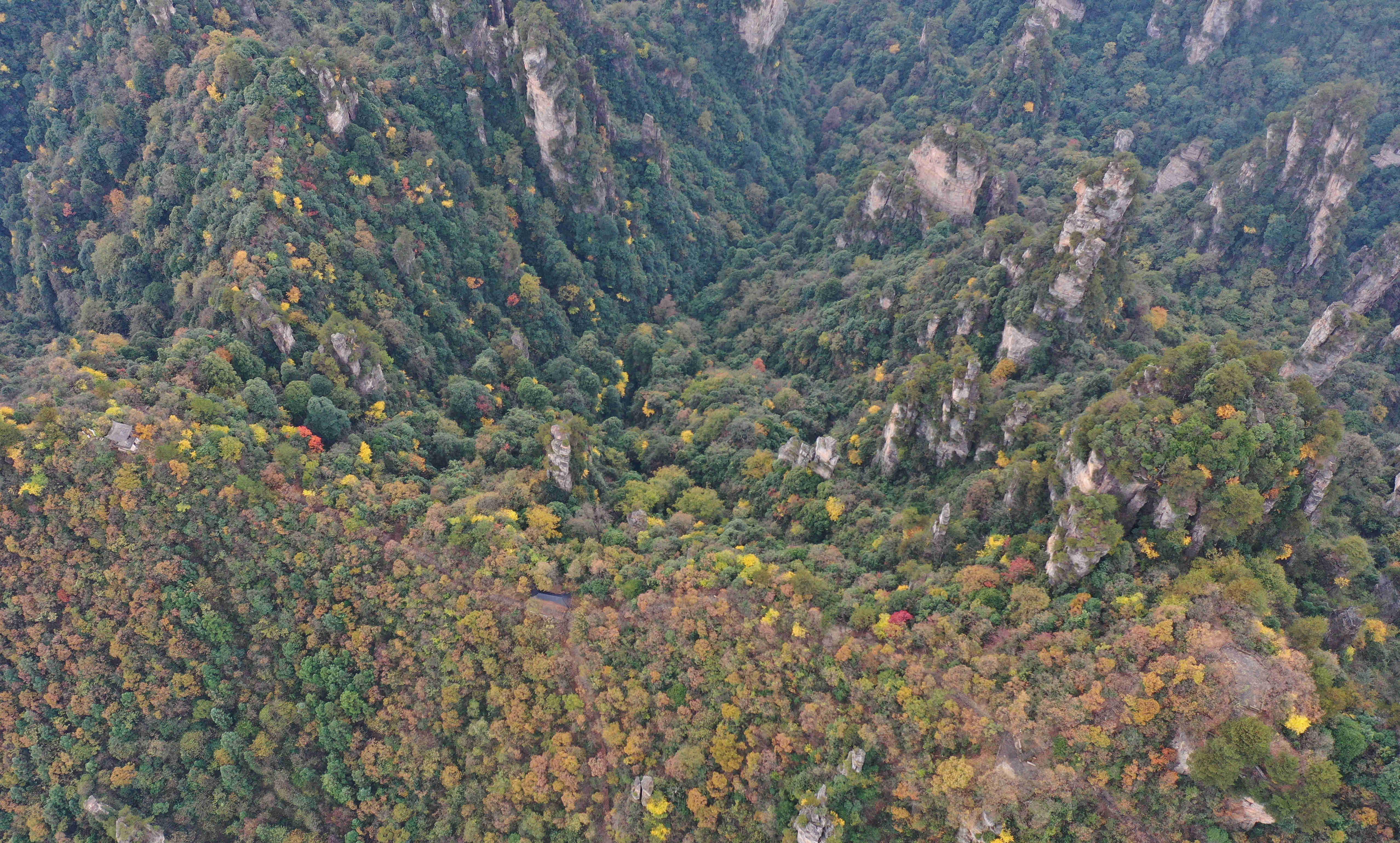 新华社|湖南张家界：峰林色彩斑斓景色美