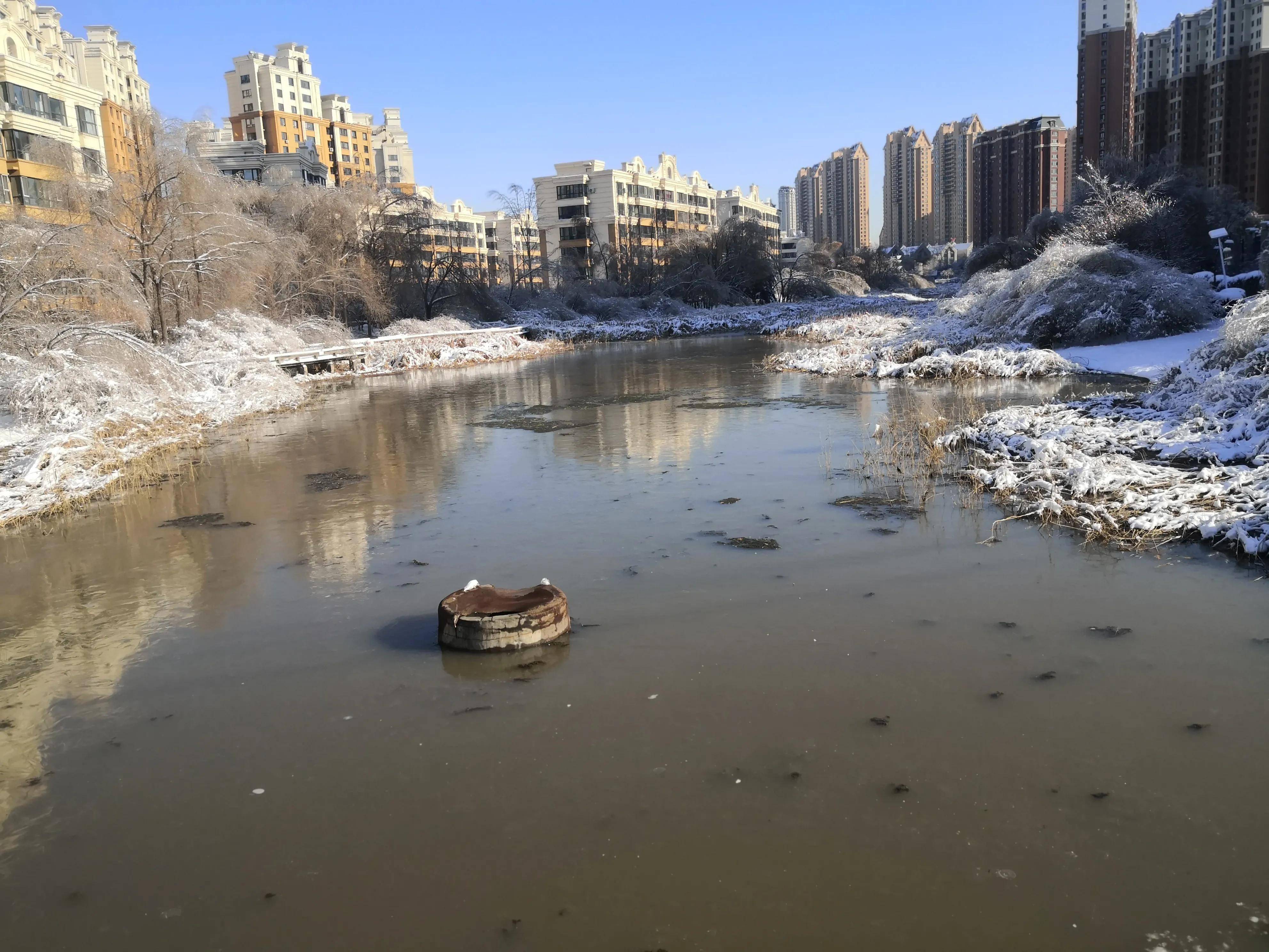 气温降低小河湿地水面结冰