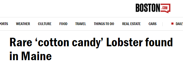 com报道,上周五,get maine lobster的一名龙虾工人,在缅因州卡斯科湾