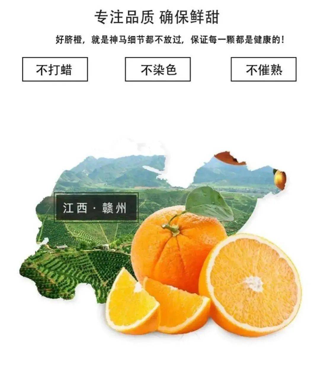 江西赣南脐橙,现摘现发,新鲜直达!鲜甜多汁,橙味十足!