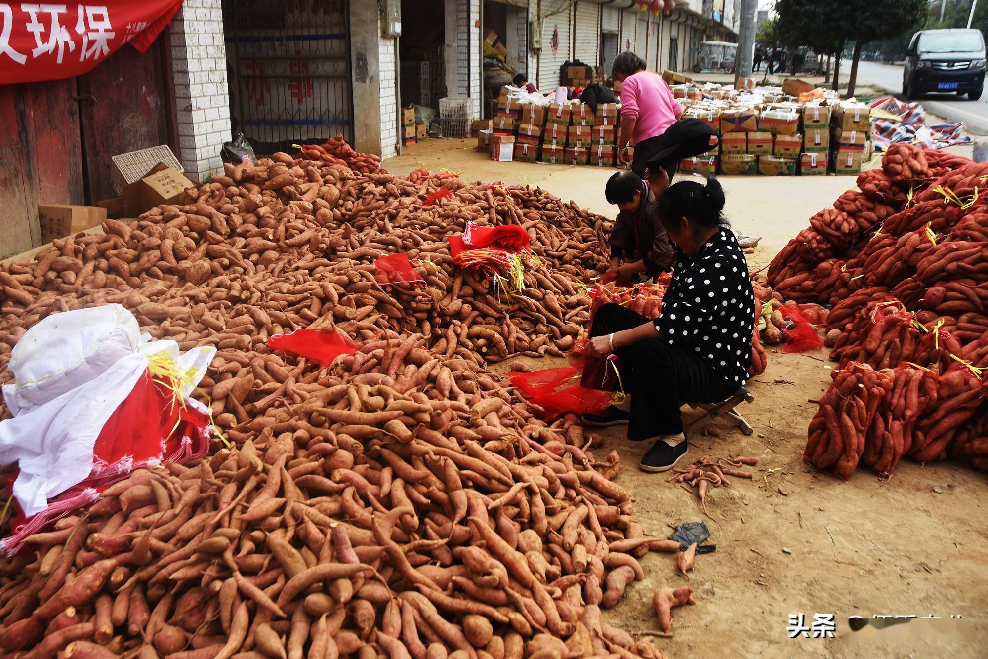 女记者辞职回乡创业卖红薯年销售过亿被网友质疑