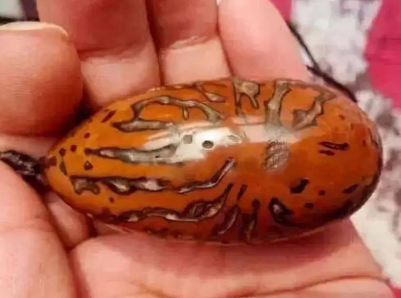 千眼菩提这样玩出来那叫一个漂亮