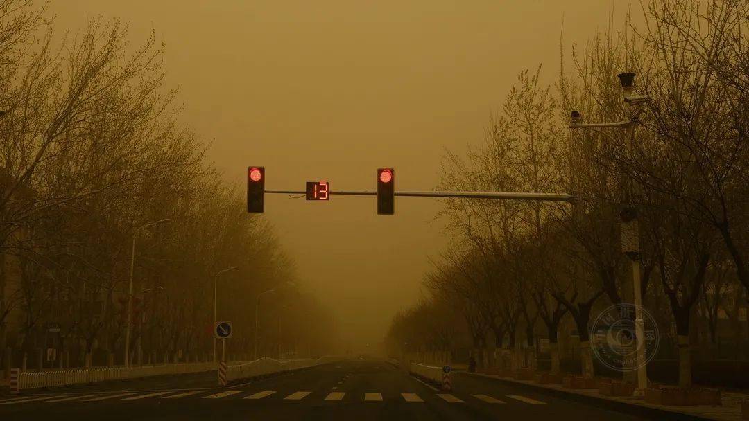 作品展|2021丽水摄影节 | 《迷?沙》王玉甫摄影作品展