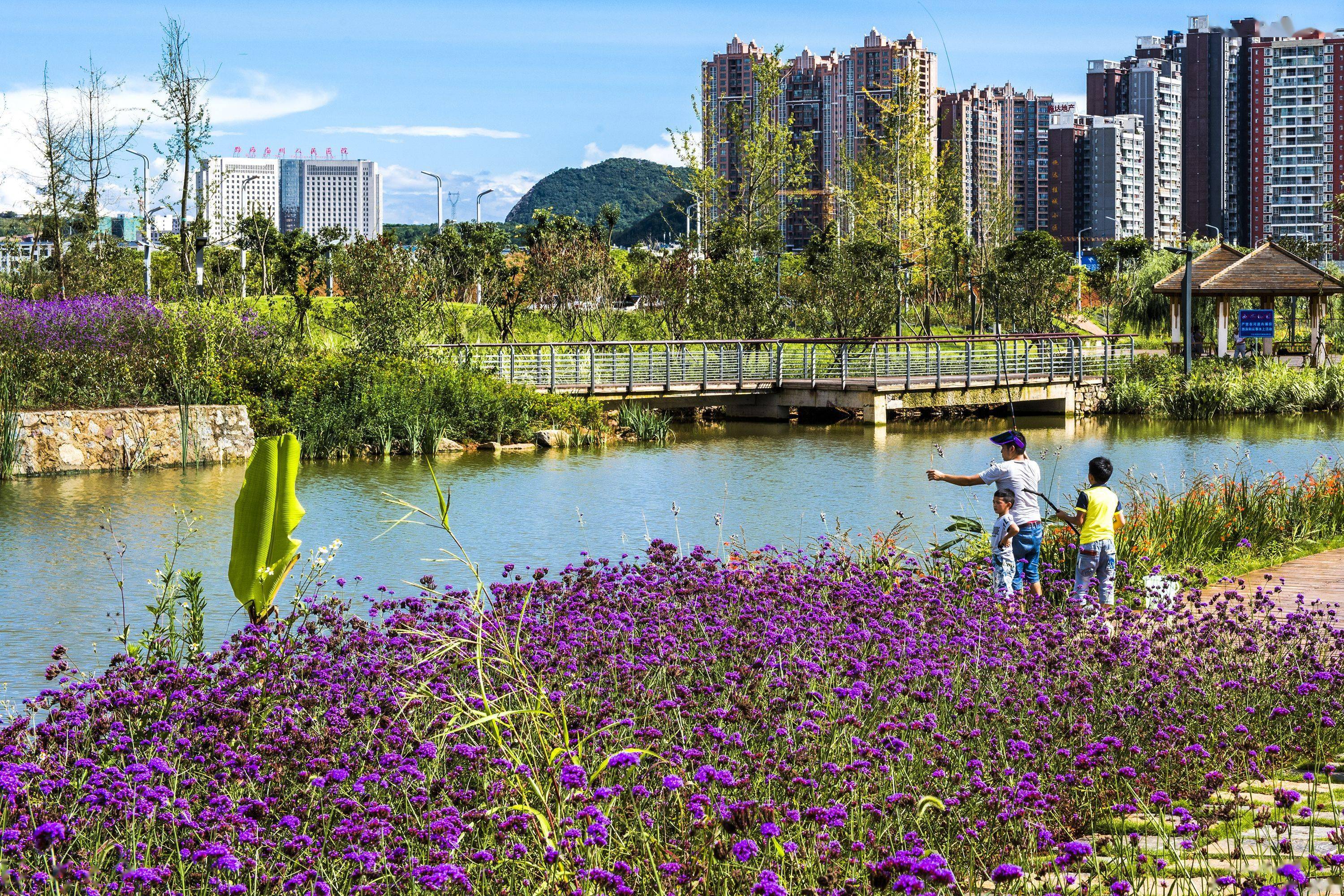 致富路|国家湿地公园里的黔西南生态致富路