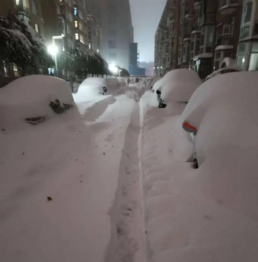 东北|雪一直下，连东北人都开始害怕了！