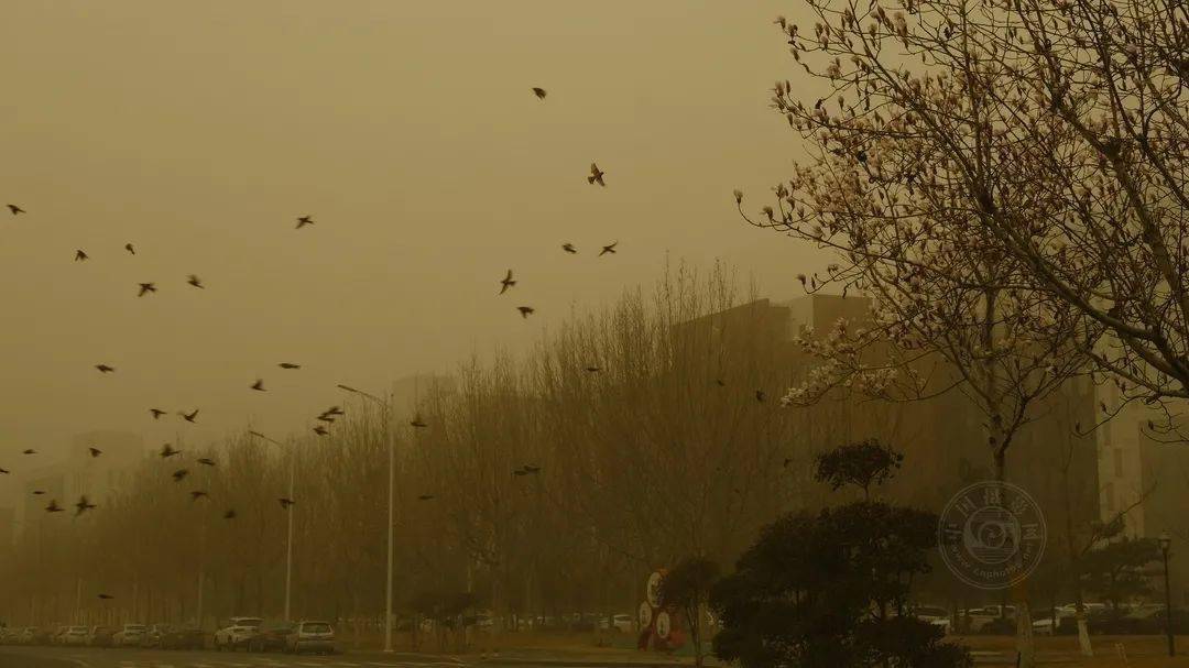 作品展|2021丽水摄影节 | 《迷?沙》王玉甫摄影作品展