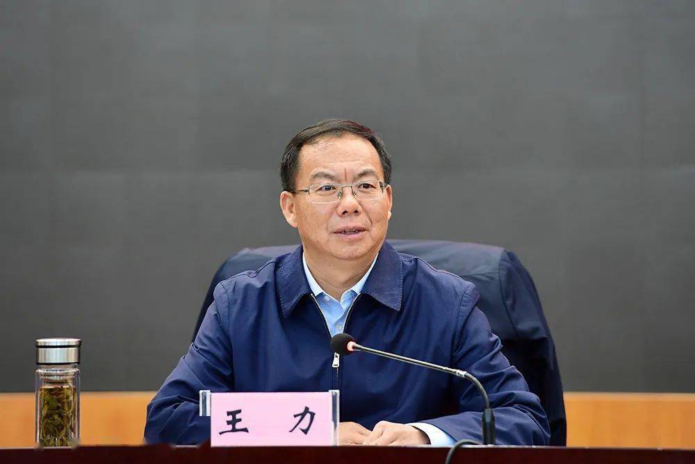 王力:持之以恒抓好教育这件"功在当代 利在千秋"的大事