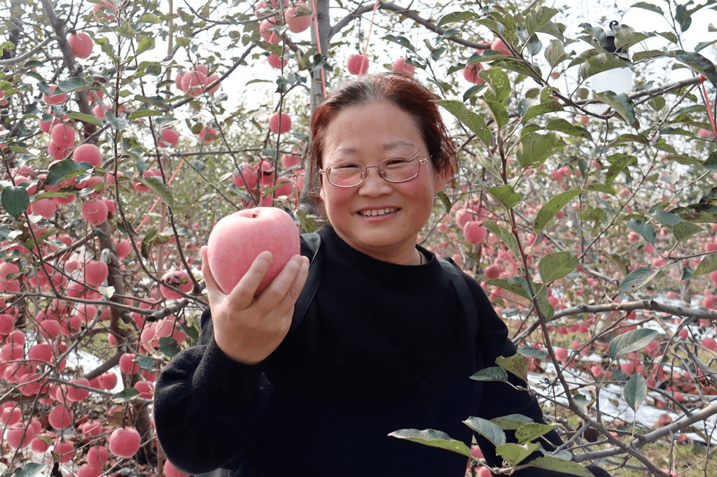 家庭家教家风美在农家百日攻坚蒙阴县垛庄镇沂蒙大姐居家创业就业示范