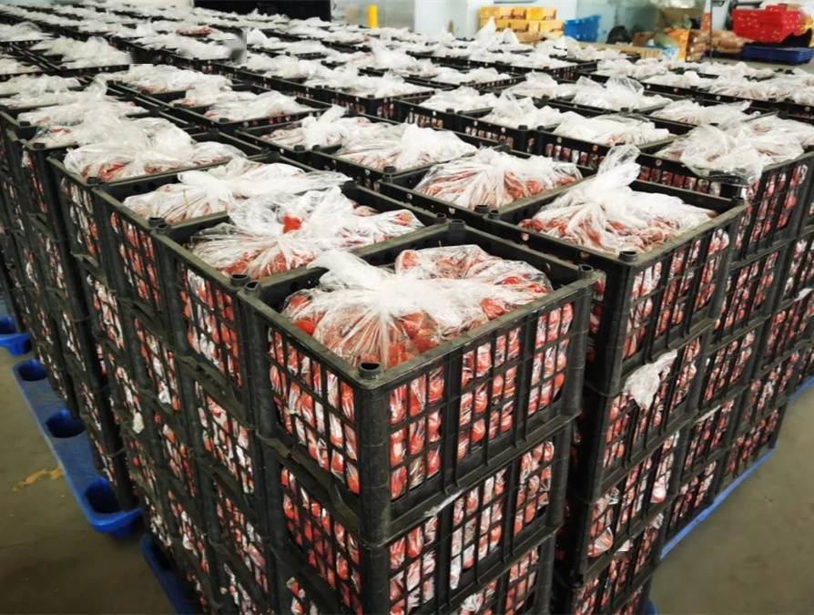 沈阳 网 沈阳支援大连重要生活必需品首批车辆昨日发车 沈阳夜生活