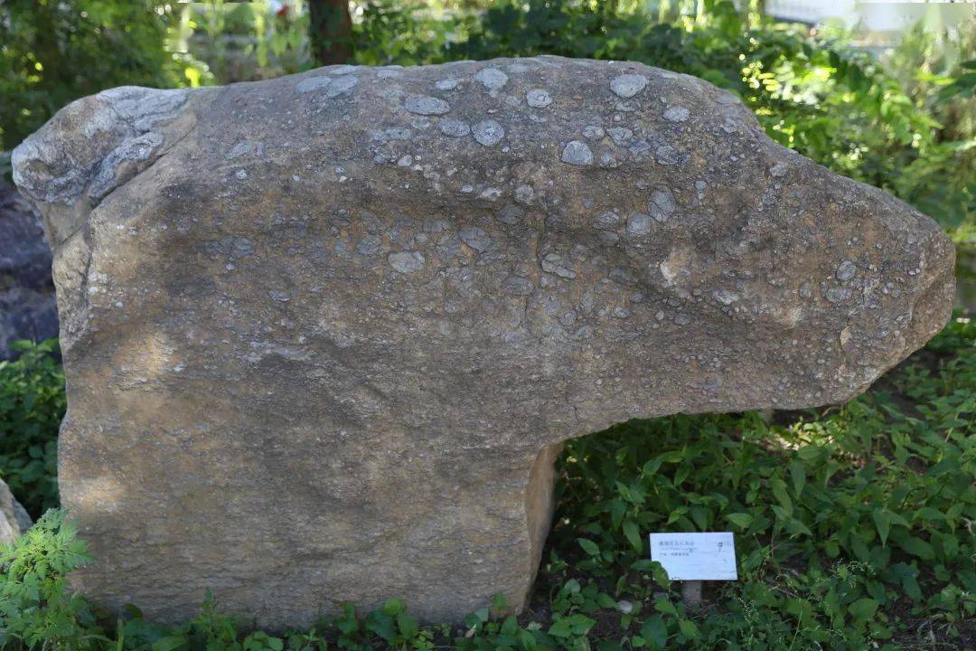 地质|清华里有块30亿年的石头？