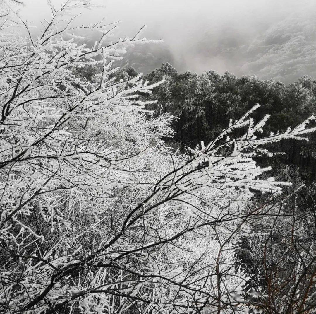 雷公山雪景图片