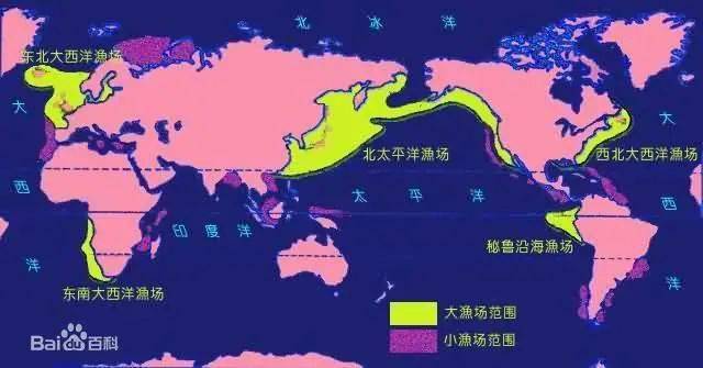 614歲必讀的海洋知識海洋裡為什麼也有沙漠