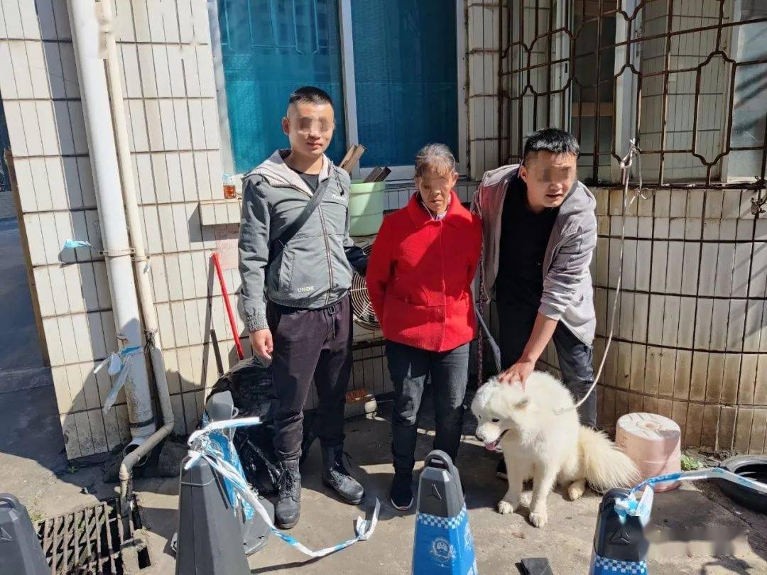 我为群众办实事偷了萨摩耶还满街遛狗寻买主这女贼被便衣队员抓了
