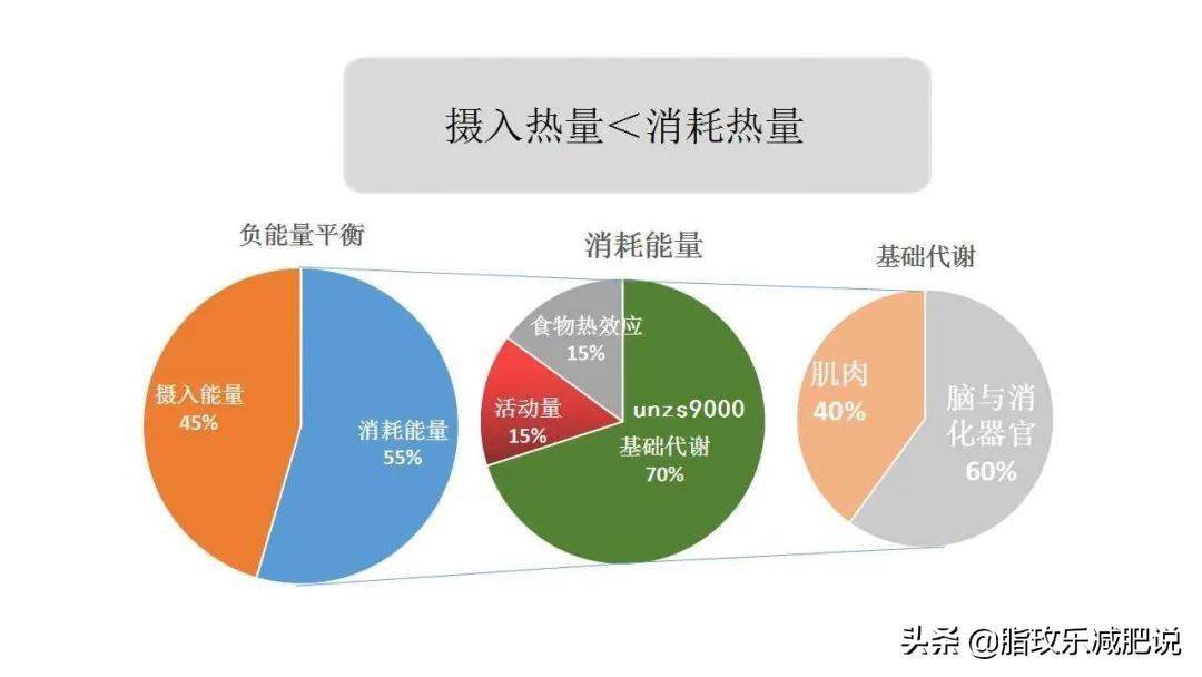 提高基础代谢率,掌握这1招,助你减肥快人一步_热量