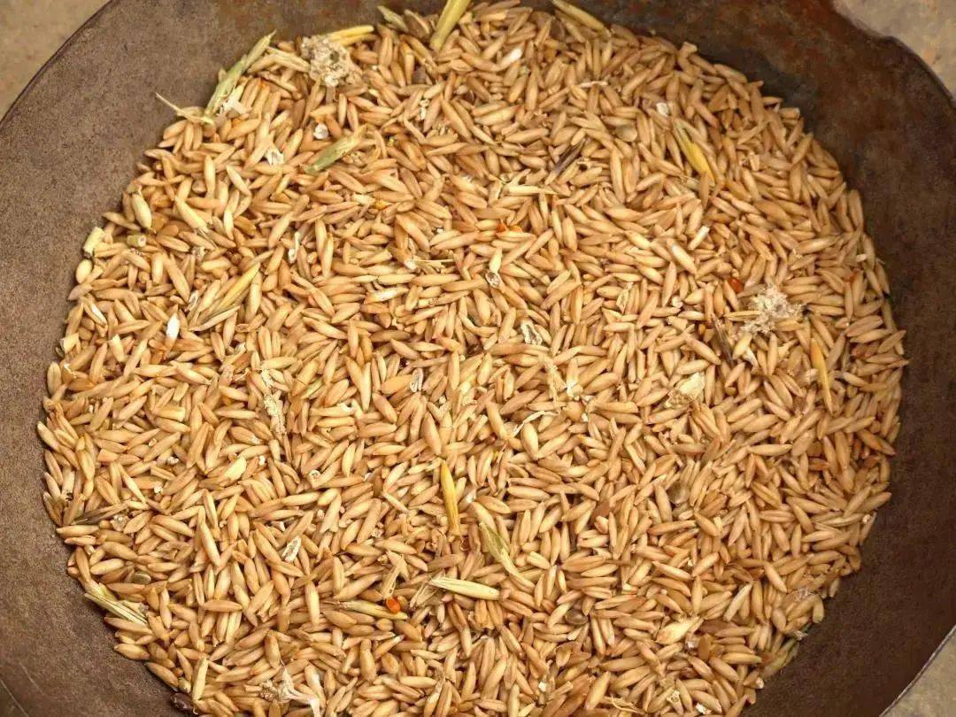 包头非遗文化看咱固阳非遗传承人展示莜面饮食制作技艺