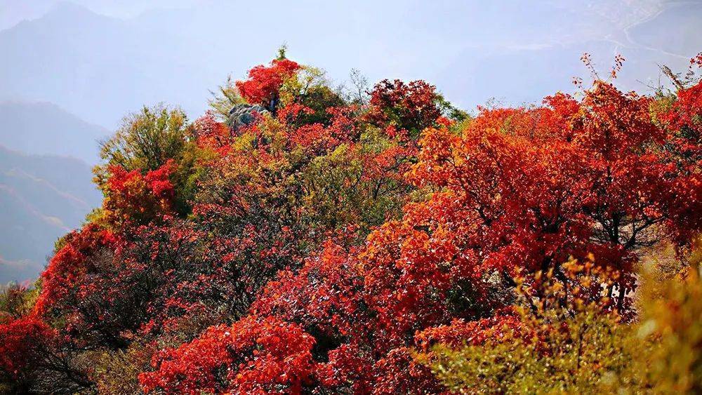 古迹取胜于五邑区内湖泊星罗棋布,山顶绿护屏一马平川夹于被圭峰,云峰