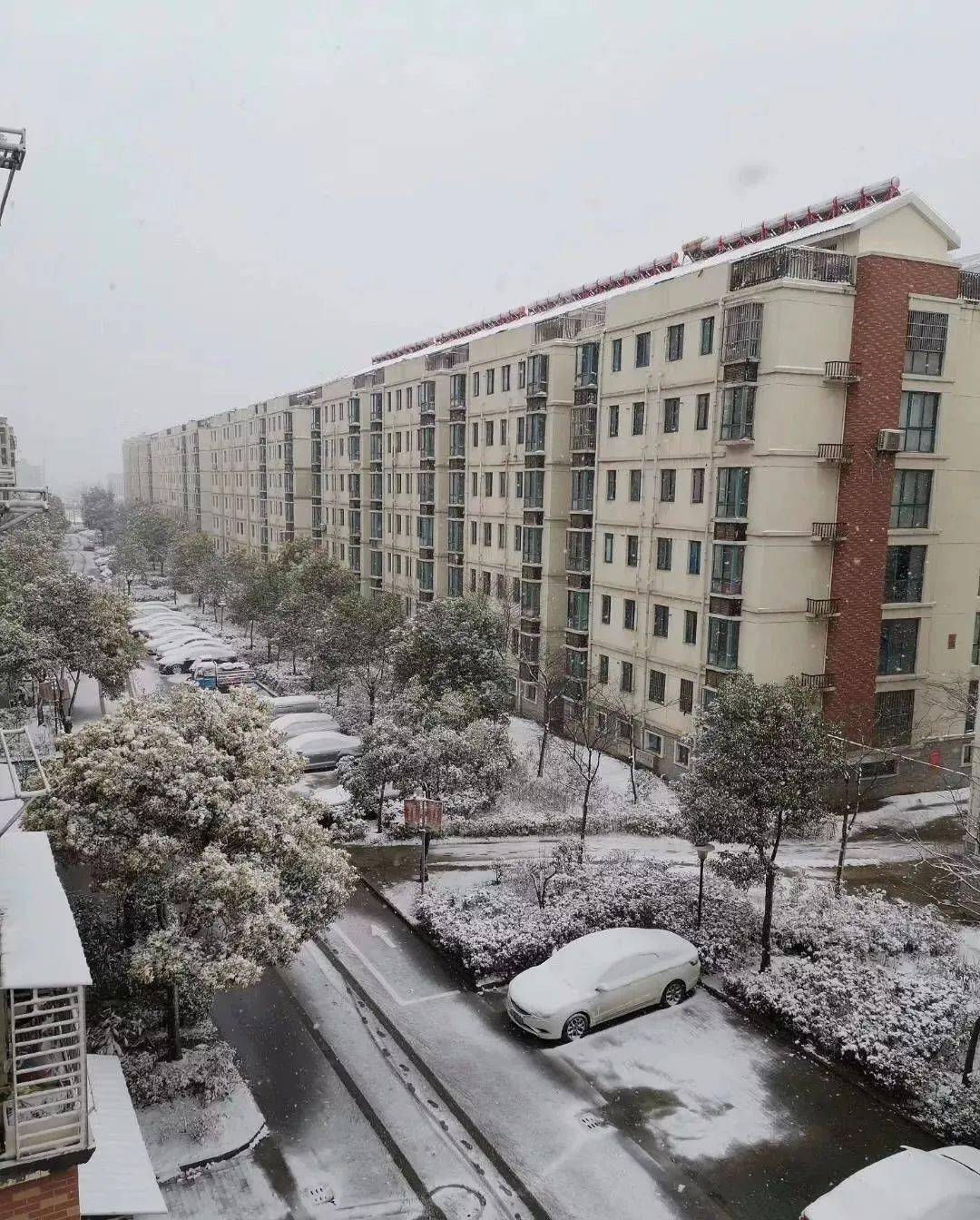 宿迁下雪图片