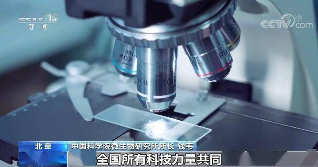 勇攀科技高峰 创新决胜未来 | 微生物科学构筑生命健康科技攻关高地