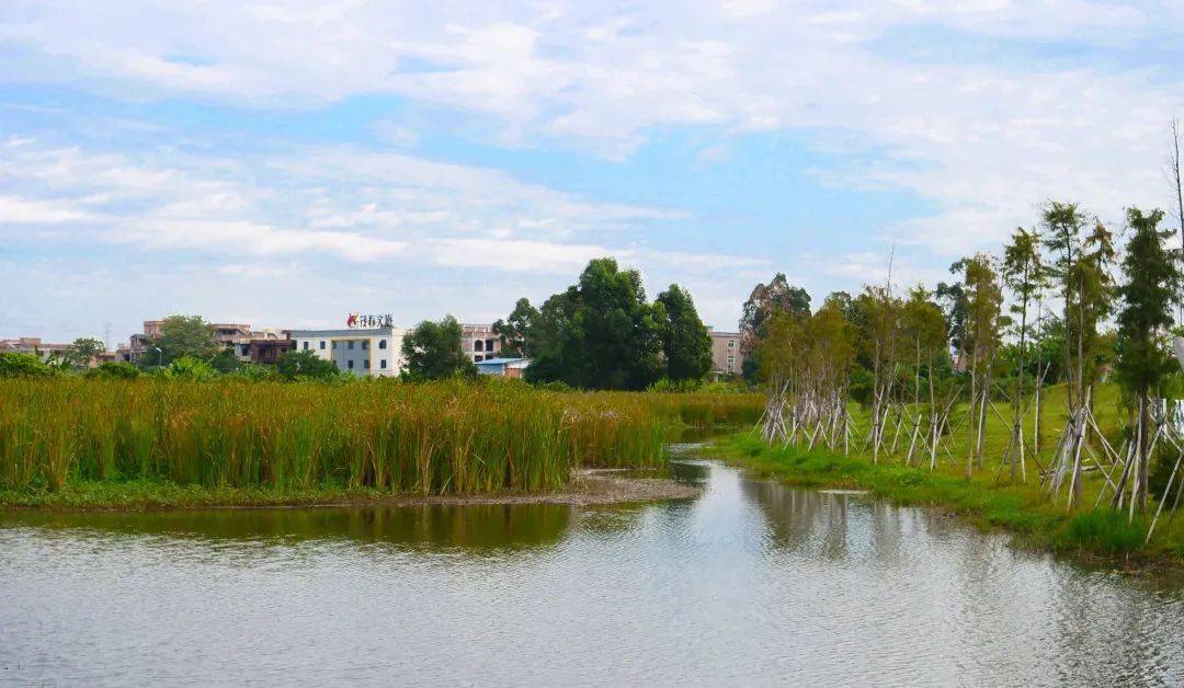 高埗人这里藏着色彩斑斓的美景快来打卡