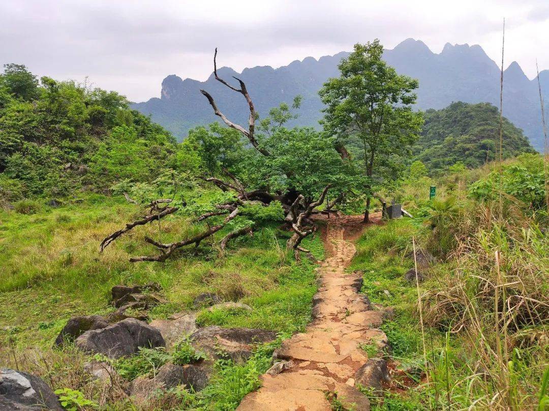 阳山水口镇旅游景点图片