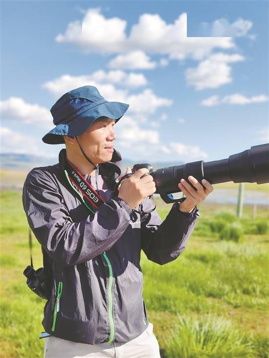 观鸟|鸥鸟翔集、北雁南飞：湿地山林盼客来