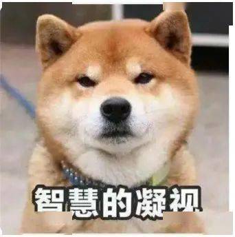 35+的程序员如何摆脱年龄歧视？