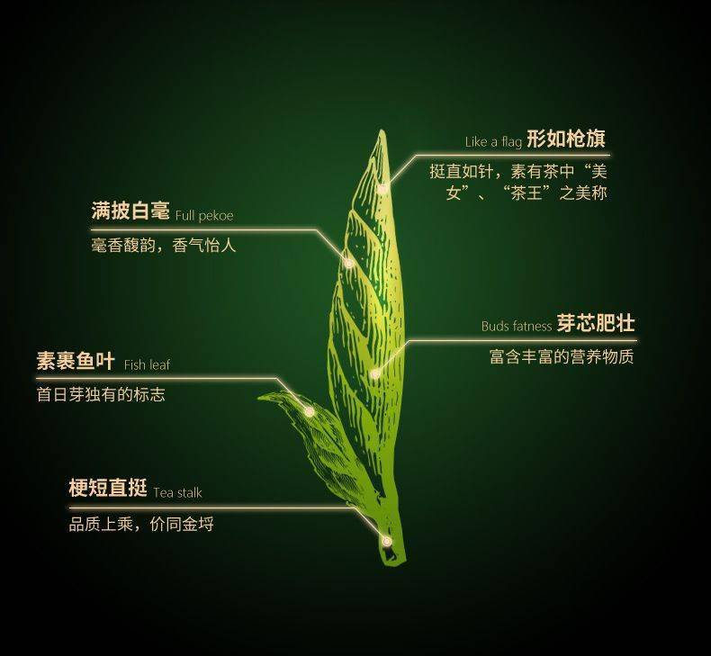 你好我叫茶多酚请多多指教