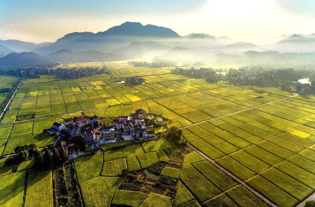 建德获评浙江省新时代美丽乡村示范县!骄傲到飞起_大农村