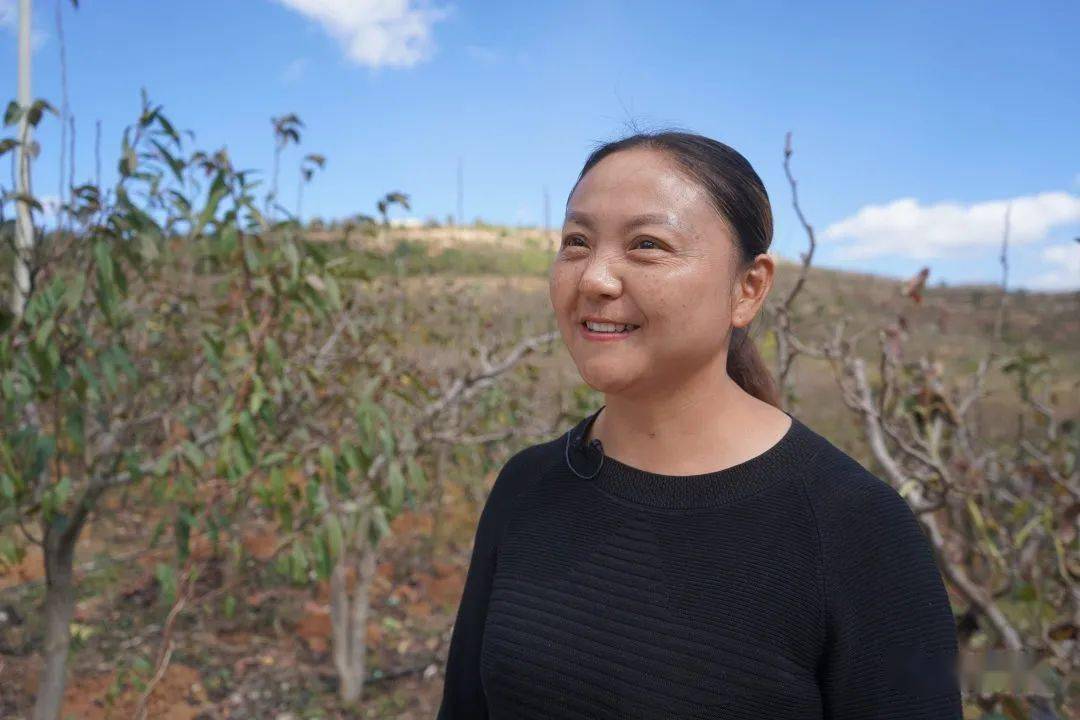 祥云县雷达山农民种植专业合作社理事长刘红莲说:"我们根据技术人员的