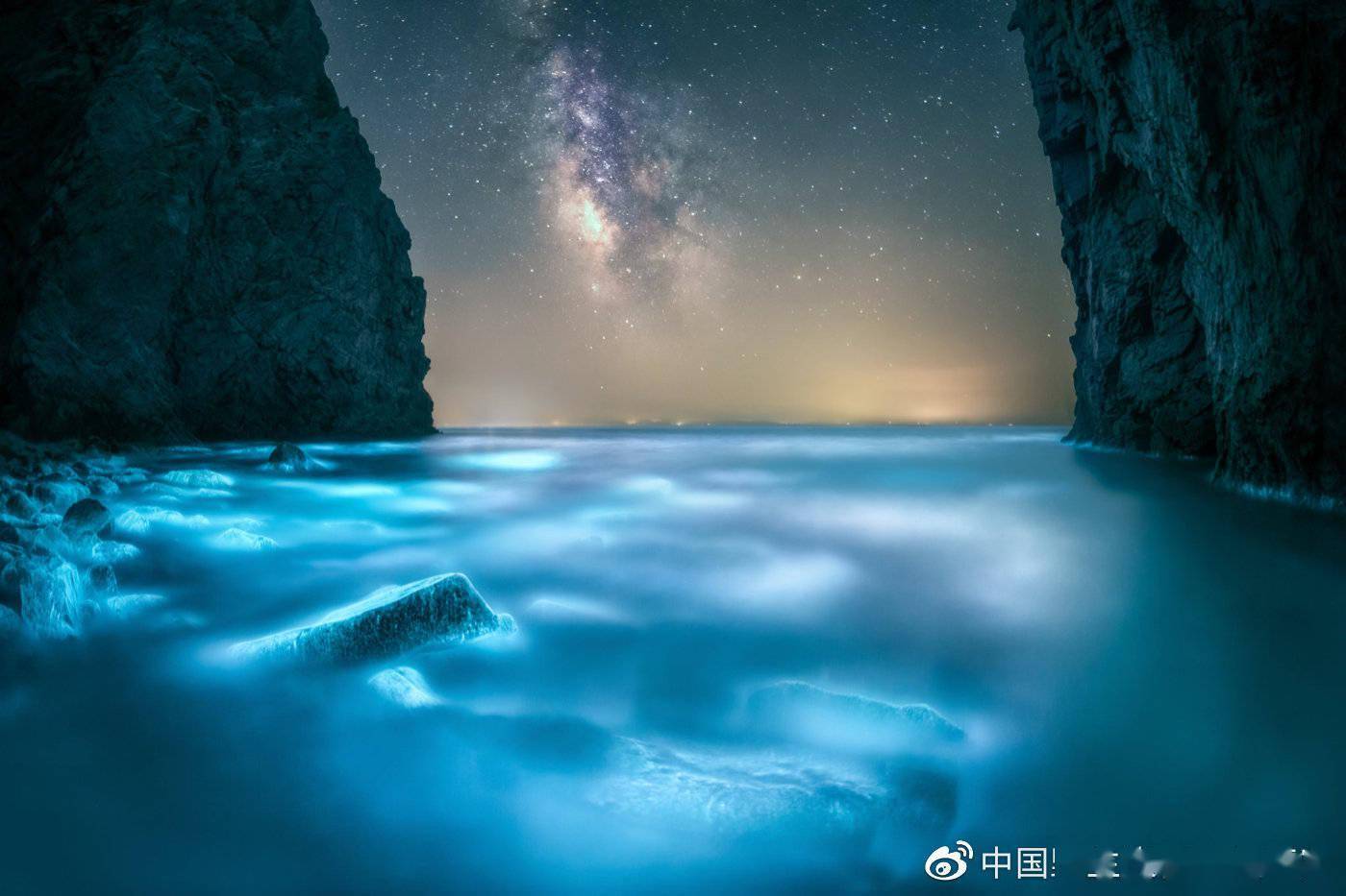 2021中国野生生物影像年赛摄影作品揭晓：感受生命力量