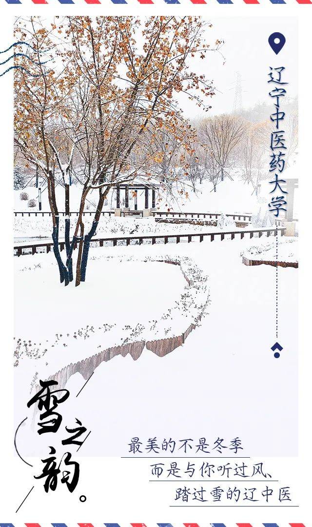 雪花|辽宁高校初雪明信片美哭了