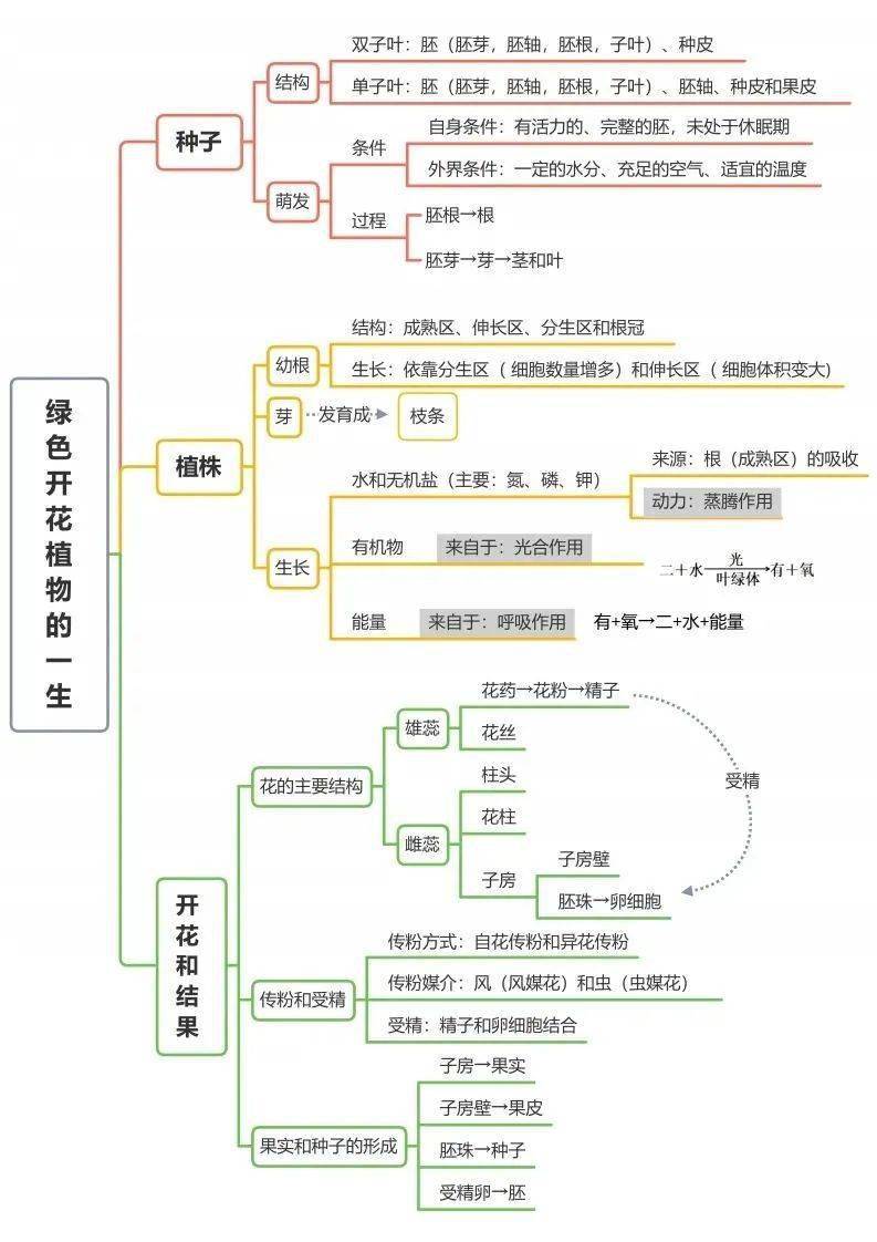 了然|初中生物全册思维导图总结，所有必考点一目 了然！