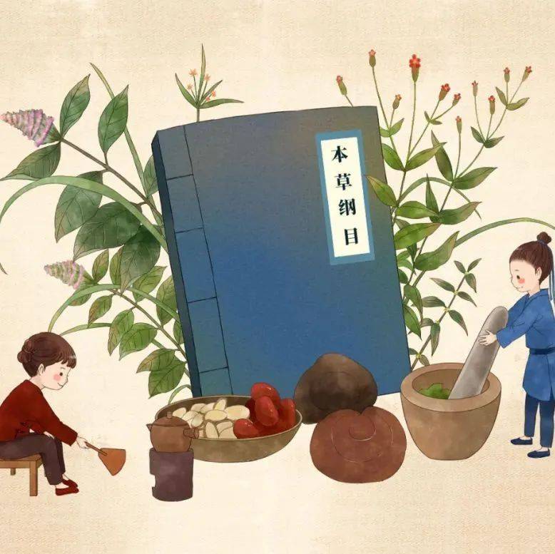 【健康科普】一组手绘带你品味中药之美!_医药
